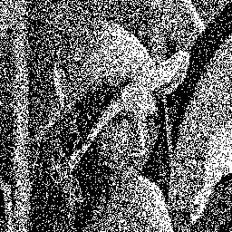 random dithering