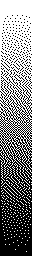 Stucki error diffusion gradient